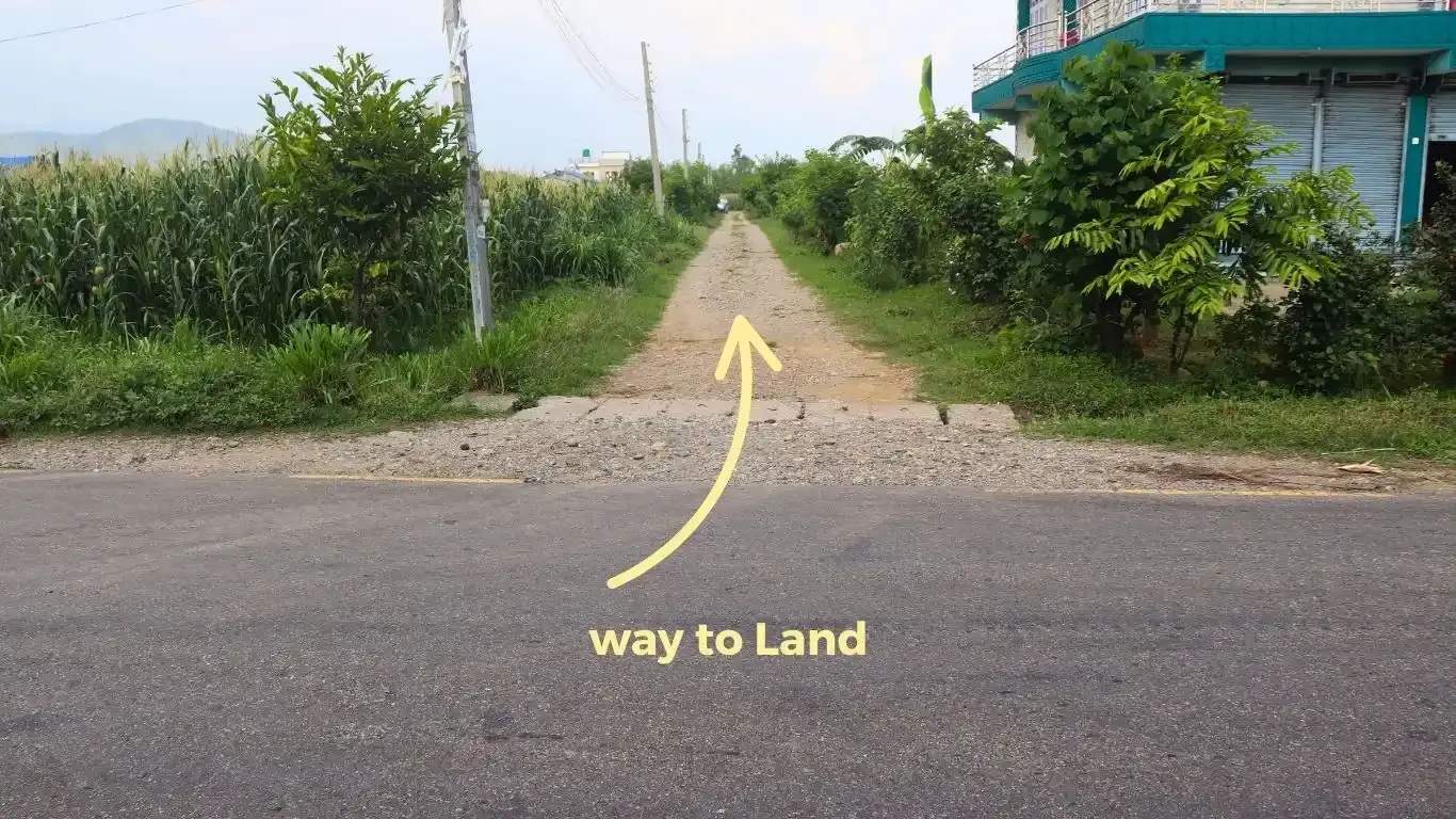 Land for sale in Kalika Nagarpalika Ward 6

10 dhur land Kalika Municipality Chitwan

Residential plot near Kalika Gate

Buy land near Bakulahar–Padampur Road

Affordable land for sale Chitwan Nepal

Real estate opportunity Kalika Ward 6

Construction-ready plot Chitwan

Pakhrin Tole land for sale