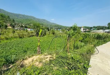 land for sale in Hetauda

Hetauda Basamadi land plotting

commercial highway land Nepal

real estate Hetauda Makwanpur

buy land near East-West Highway

plotting project Nepal

housing plotting land for sale

investment property Hetauda

land near highway Nepal

cooperative housing Nepal


