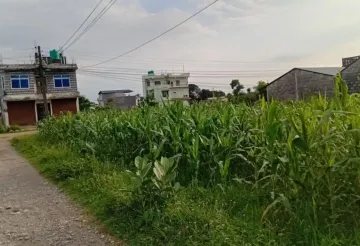 Land for sale Kawasoti, 28 Bigha tole land, Nawalpur real estate, 10 dhur plot Kawasoti, residential land near highway, direct land deal Nepal, Kawasoti land near school, buy property in Kawasoti, east-facing land Nepal