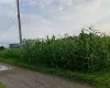 Land for sale Kawasoti, 28 Bigha tole land, Nawalpur real estate, 10 dhur plot Kawasoti, residential land near highway, direct land deal Nepal, Kawasoti land near school, buy property in Kawasoti, east-facing land Nepal