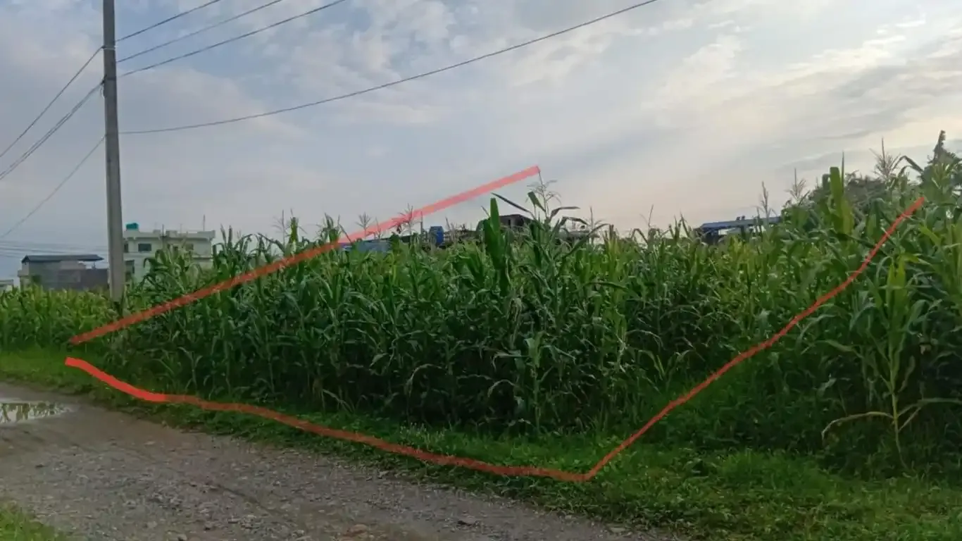 Land for sale Kawasoti, 28 Bigha tole land, Nawalpur real estate, 10 dhur plot Kawasoti, residential land near highway, direct land deal Nepal, Kawasoti land near school, buy property in Kawasoti, east-facing land Nepal