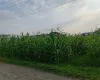 Land for sale Kawasoti, 28 Bigha tole land, Nawalpur real estate, 10 dhur plot Kawasoti, residential land near highway, direct land deal Nepal, Kawasoti land near school, buy property in Kawasoti, east-facing land Nepal
