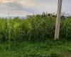 Land for sale Kawasoti, 28 Bigha tole land, Nawalpur real estate, 10 dhur plot Kawasoti, residential land near highway, direct land deal Nepal, Kawasoti land near school, buy property in Kawasoti, east-facing land Nepal