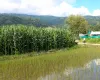Bhorletar, Aalapot, Ward No. 2, Kageshwori Manohara Nagarpalika, Kathmandu, Bagmati Nepal, ,Land,For sale - Properties,9352