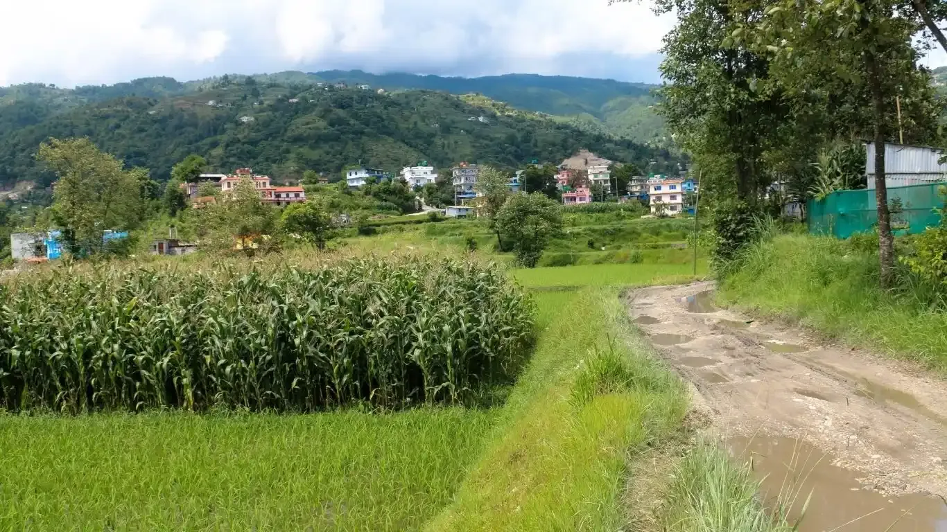 Bhorletar, Aalapot, Ward No. 2, Kageshwori Manohara Nagarpalika, Kathmandu, Bagmati Nepal, ,Land,For sale - Properties,9352