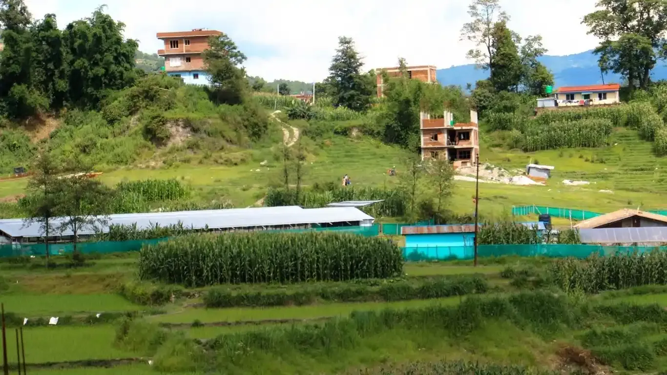 Bhorletar, Aalapot, Ward No. 2, Kageshwori Manohara Nagarpalika, Kathmandu, Bagmati Nepal, ,Land,For sale - Properties,9352