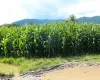 Bhorletar, Aalapot, Ward No. 2, Kageshwori Manohara Nagarpalika, Kathmandu, Bagmati Nepal, ,Land,For sale - Properties,9352