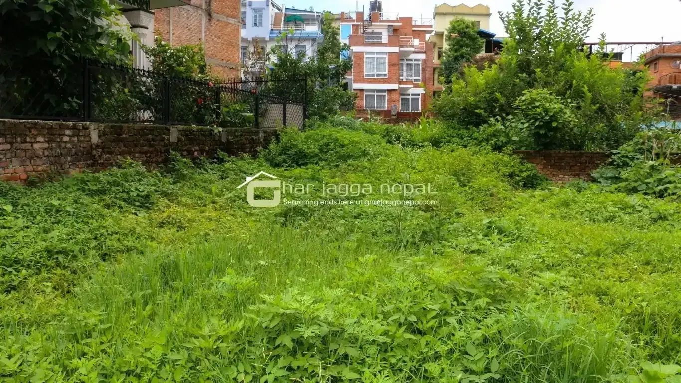 Kalanki land for sale, Kathmandu residential land, 7 aana plot Kalanki, east facing land Kathmandu, land near Kalanki Mandir, Tasindole land Kathmandu, blacktop access land, buy land Kalanki, residential land Kathmandu Nepal