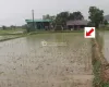 land for sale Lalpur Rapti, Rapti Nagarpalika land, buy land near Parsa Bazar, Upreti Tole property, 2 kaththa land Chitwan, direct owner land Nepal, residential land Rapti-9, land with wide mohoda