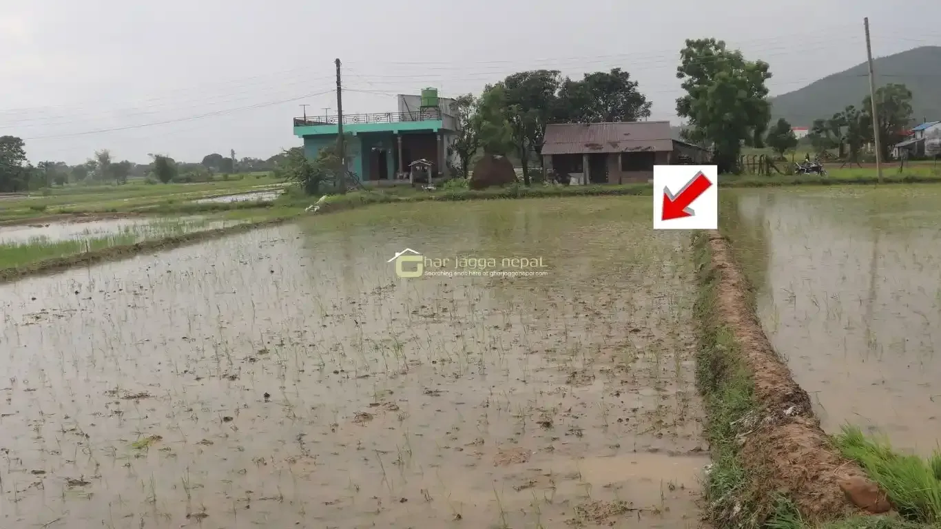land for sale Lalpur Rapti, Rapti Nagarpalika land, buy land near Parsa Bazar, Upreti Tole property, 2 kaththa land Chitwan, direct owner land Nepal, residential land Rapti-9, land with wide mohoda