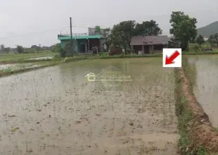 land for sale Lalpur Rapti, Rapti Nagarpalika land, buy land near Parsa Bazar, Upreti Tole property, 2 kaththa land Chitwan, direct owner land Nepal, residential land Rapti-9, land with wide mohoda