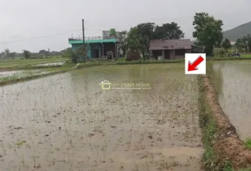 land for sale Lalpur Rapti, Rapti Nagarpalika land, buy land near Parsa Bazar, Upreti Tole property, 2 kaththa land Chitwan, direct owner land Nepal, residential land Rapti-9, land with wide mohoda