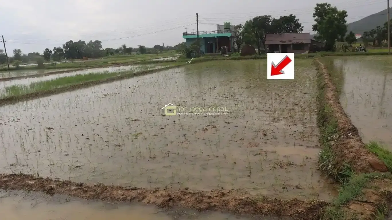 land for sale Lalpur Rapti, Rapti Nagarpalika land, buy land near Parsa Bazar, Upreti Tole property, 2 kaththa land Chitwan, direct owner land Nepal, residential land Rapti-9, land with wide mohoda
