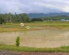 land for sale Lalpur Rapti, Rapti Nagarpalika land, buy land near Parsa Bazar, Upreti Tole property, 2 kaththa land Chitwan, direct owner land Nepal, residential land Rapti-9, land with wide mohoda