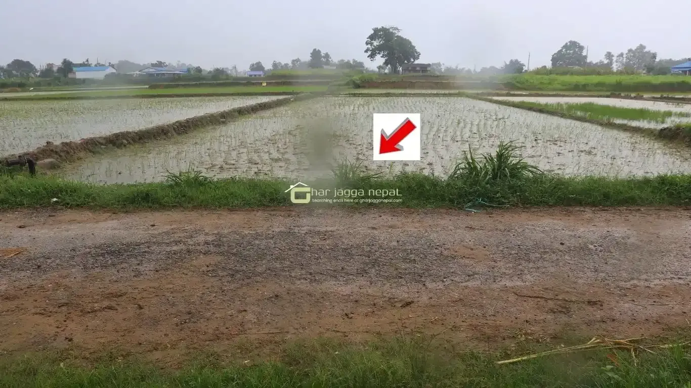 land for sale Lalpur Rapti, Rapti Nagarpalika land, buy land near Parsa Bazar, Upreti Tole property, 2 kaththa land Chitwan, direct owner land Nepal, residential land Rapti-9, land with wide mohoda