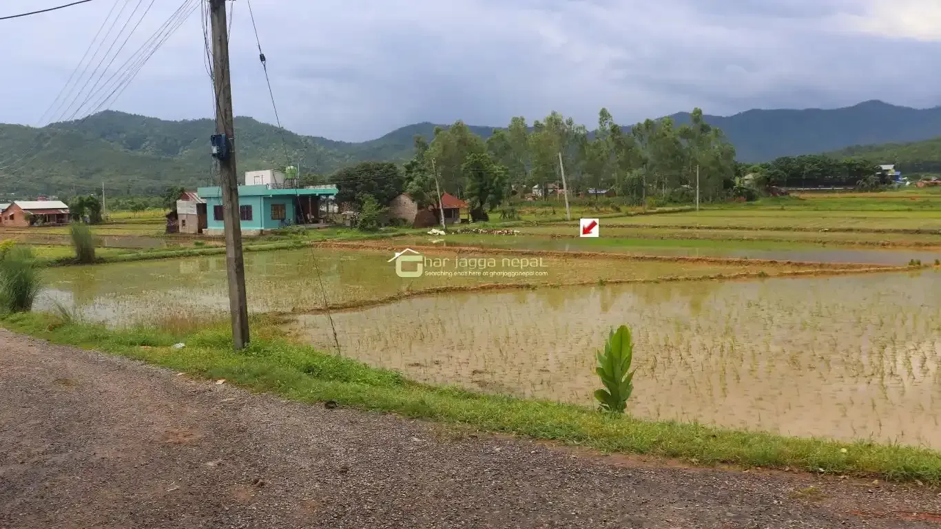 land for sale Lalpur Rapti, Rapti Nagarpalika land, buy land near Parsa Bazar, Upreti Tole property, 2 kaththa land Chitwan, direct owner land Nepal, residential land Rapti-9, land with wide mohoda