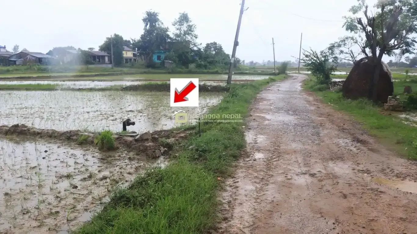 land for sale Lalpur Rapti, Rapti Nagarpalika land, buy land near Parsa Bazar, Upreti Tole property, 2 kaththa land Chitwan, direct owner land Nepal, residential land Rapti-9, land with wide mohoda