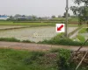 land for sale Lalpur Rapti, Rapti Nagarpalika land, buy land near Parsa Bazar, Upreti Tole property, 2 kaththa land Chitwan, direct owner land Nepal, residential land Rapti-9, land with wide mohoda