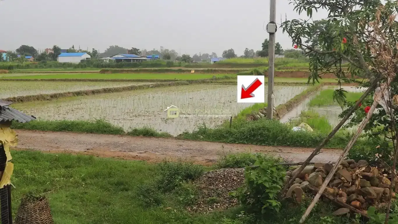 land for sale Lalpur Rapti, Rapti Nagarpalika land, buy land near Parsa Bazar, Upreti Tole property, 2 kaththa land Chitwan, direct owner land Nepal, residential land Rapti-9, land with wide mohoda