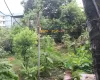 house for sale Bharatpur, Namuna Tole house, Bharatpur-10 real estate, exchange property Chitwan, land with wide mohoda, 2-storey house near college, house with parking & garden Bharatpur, Gitanagar exchange house, commercial house Chitwan