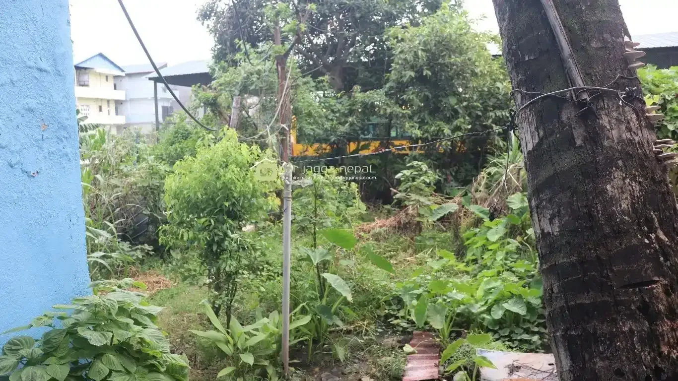 house for sale Bharatpur, Namuna Tole house, Bharatpur-10 real estate, exchange property Chitwan, land with wide mohoda, 2-storey house near college, house with parking & garden Bharatpur, Gitanagar exchange house, commercial house Chitwan