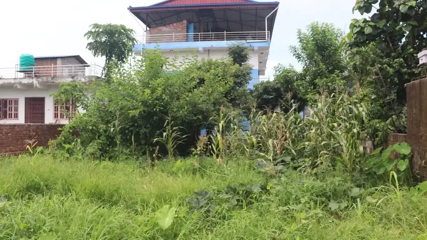 House for sale in Chitwan

Ratnanagar-12 property

Jamunapur Chowk house

2 storey house with backyard

Commercial residential house Chitwan

House with rooftop view Nepal

Exchange deal house Chitwan

Chitwan house with frontage

Home with garden space

Affordable real estate in Nepal

