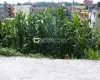 Lolang land sale, Tarkeshwor plot, Kathmandu real estate, 4 aana land Kathmandu, west-facing plot, land with view Kathmandu, Kathmandu ring road residential land