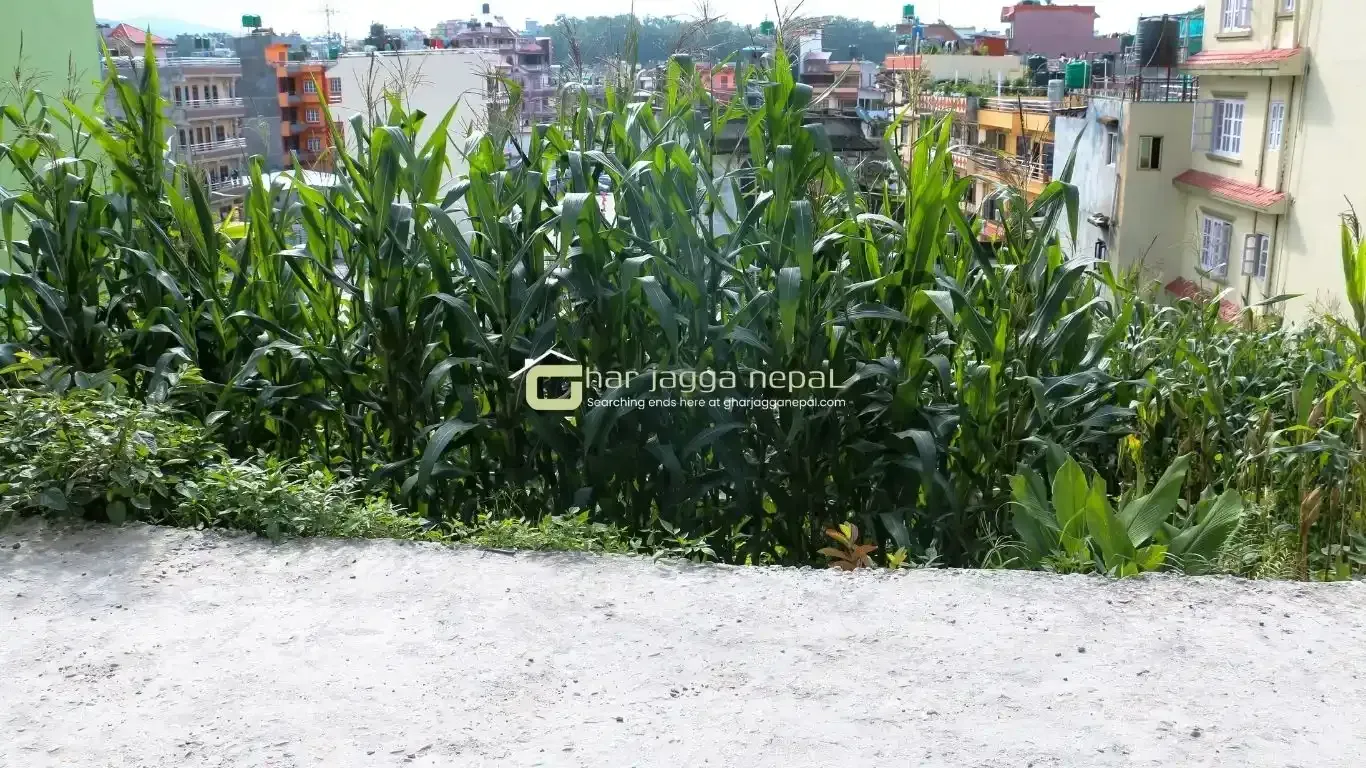 Lolang land sale, Tarkeshwor plot, Kathmandu real estate, 4 aana land Kathmandu, west-facing plot, land with view Kathmandu, Kathmandu ring road residential land