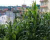Lolang land sale, Tarkeshwor plot, Kathmandu real estate, 4 aana land Kathmandu, west-facing plot, land with view Kathmandu, Kathmandu ring road residential land