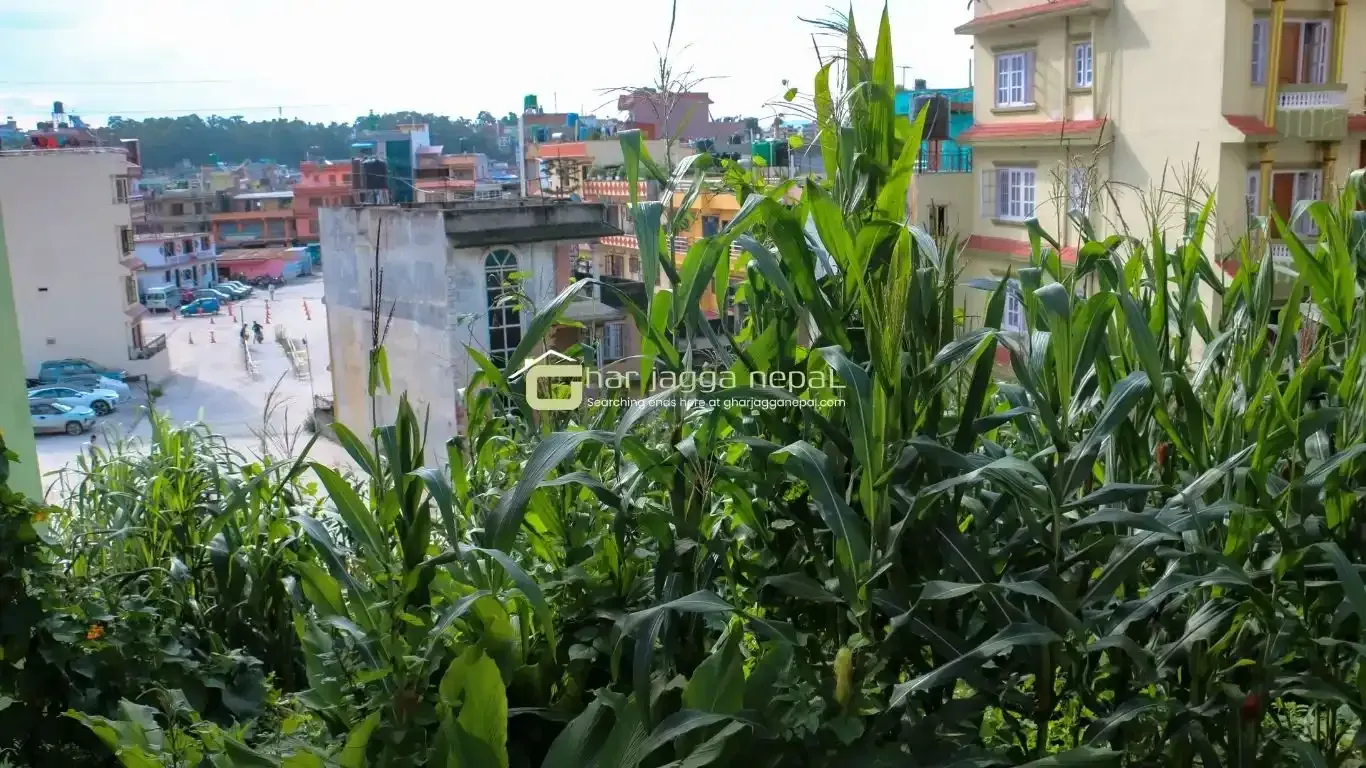 Lolang land sale, Tarkeshwor plot, Kathmandu real estate, 4 aana land Kathmandu, west-facing plot, land with view Kathmandu, Kathmandu ring road residential land