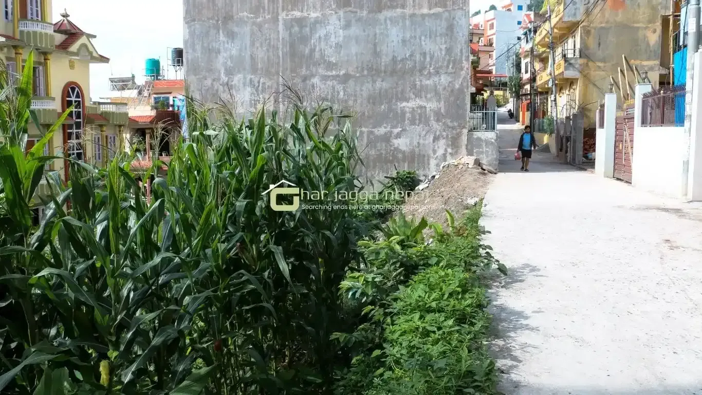 Lolang land sale, Tarkeshwor plot, Kathmandu real estate, 4 aana land Kathmandu, west-facing plot, land with view Kathmandu, Kathmandu ring road residential land