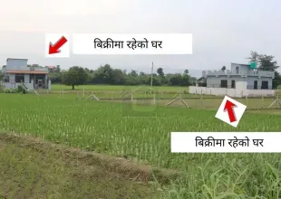 house for sale in Bharatpur, Chowk Bazar home, single-storey house Chitwan, earthquake resistant house Nepal, Bharatpur-6 real estate, gated home Chitwan, affordable house Chitwan, ready to move home Bharatpur, home near Cancer Hospital, 8.5 dhur house Nepal