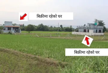 house for sale in Bharatpur, Chowk Bazar home, single-storey house Chitwan, earthquake resistant house Nepal, Bharatpur-6 real estate, gated home Chitwan, affordable house Chitwan, ready to move home Bharatpur, home near Cancer Hospital, 8.5 dhur house Nepal