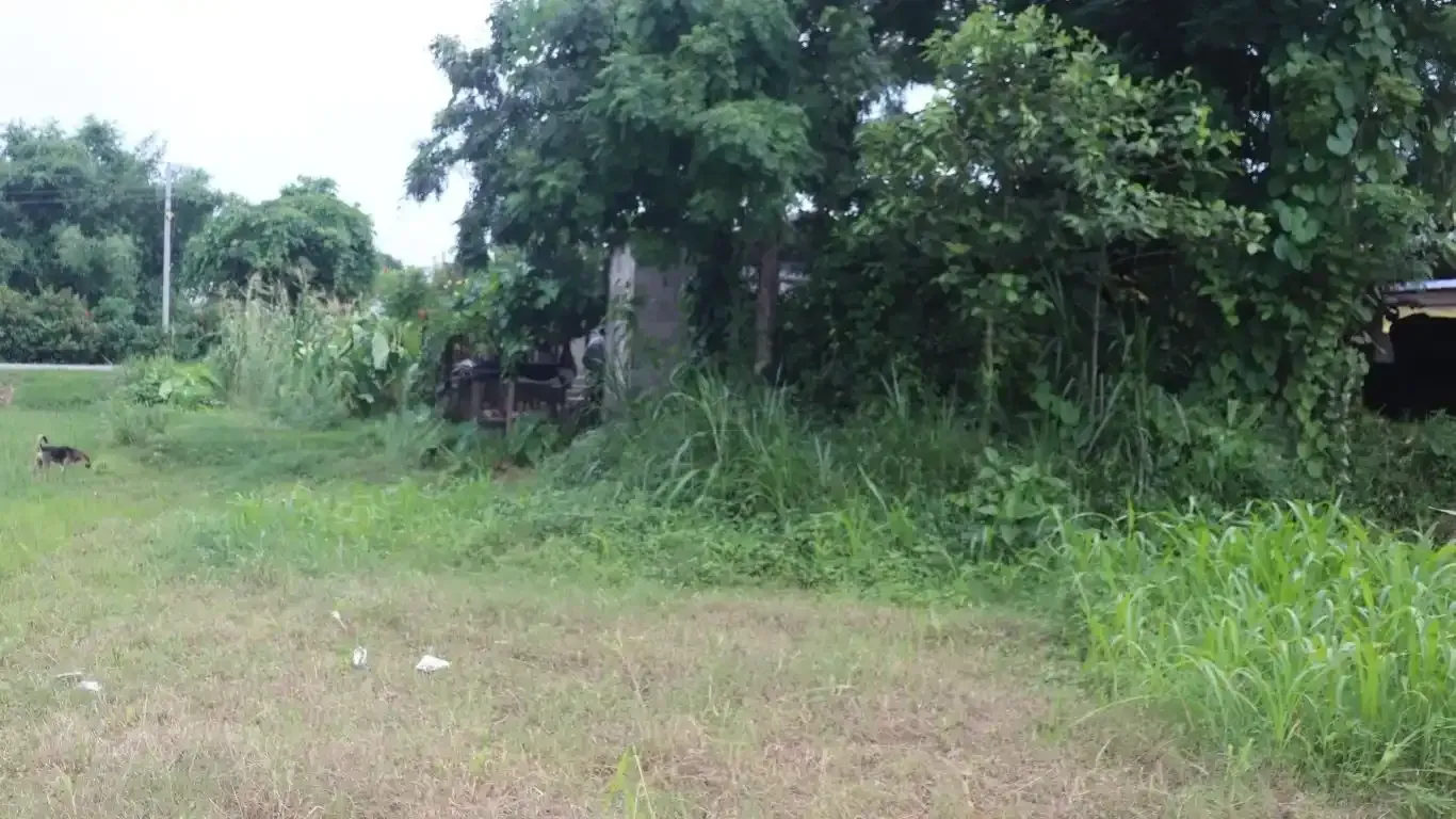 Jagatpur land for sale

Land for sale in Bharatpur 23

Chitwan real estate

2 Kattha land Jagatpur

Land with house for sale Chitwan

Property near Rapti River

Land near Kasara Resort

Tourist area land Chitwan

Real estate Jagatpur Chitwan

Buy land Bharatpur municipality