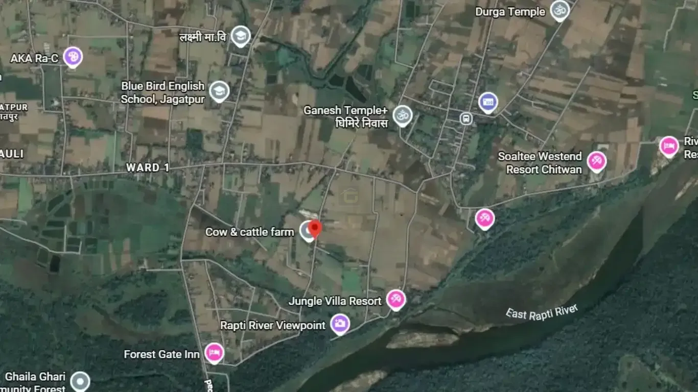 Jagatpur land for sale

Land for sale in Bharatpur 23

Chitwan real estate

2 Kattha land Jagatpur

Land with house for sale Chitwan

Property near Rapti River

Land near Kasara Resort

Tourist area land Chitwan

Real estate Jagatpur Chitwan

Buy land Bharatpur municipality