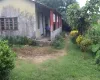 Jagatpur land for sale

Land for sale in Bharatpur 23

Chitwan real estate

2 Kattha land Jagatpur

Land with house for sale Chitwan

Property near Rapti River

Land near Kasara Resort

Tourist area land Chitwan

Real estate Jagatpur Chitwan

Buy land Bharatpur municipality