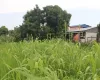 Jagatpur land for sale

Land for sale in Bharatpur 23

Chitwan real estate

2 Kattha land Jagatpur

Land with house for sale Chitwan

Property near Rapti River

Land near Kasara Resort

Tourist area land Chitwan

Real estate Jagatpur Chitwan

Buy land Bharatpur municipality