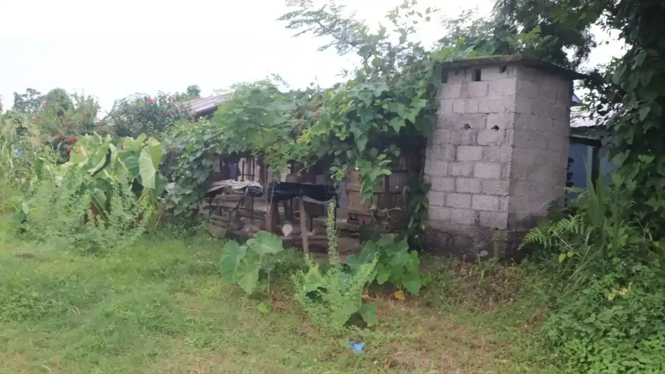 Jagatpur land for sale

Land for sale in Bharatpur 23

Chitwan real estate

2 Kattha land Jagatpur

Land with house for sale Chitwan

Property near Rapti River

Land near Kasara Resort

Tourist area land Chitwan

Real estate Jagatpur Chitwan

Buy land Bharatpur municipality