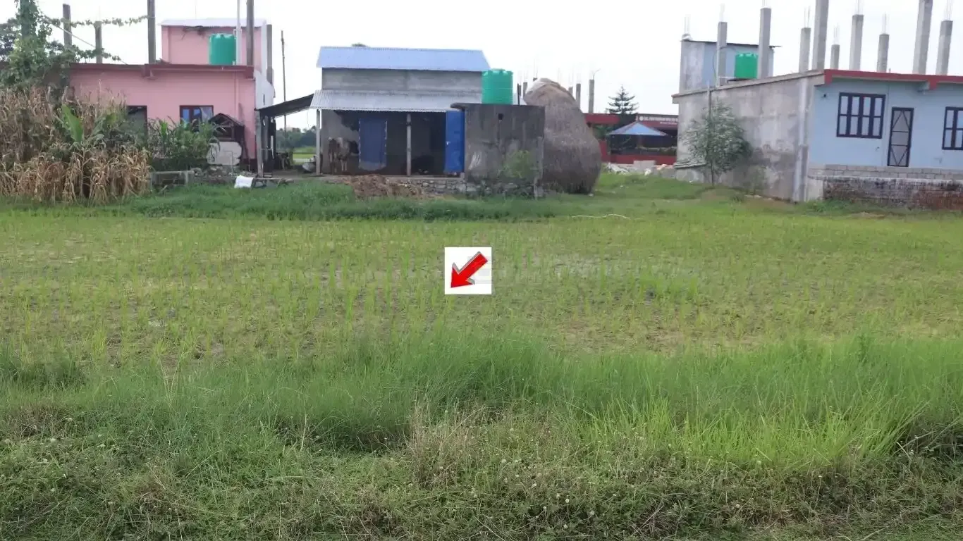 land for sale Bharatpur 22, Patihani Dhanauji plot, residential land Chitwan, 10.5 dhur land Bharatpur, ghar jagga Nepal listings, plots near Bal Bidhyashram
