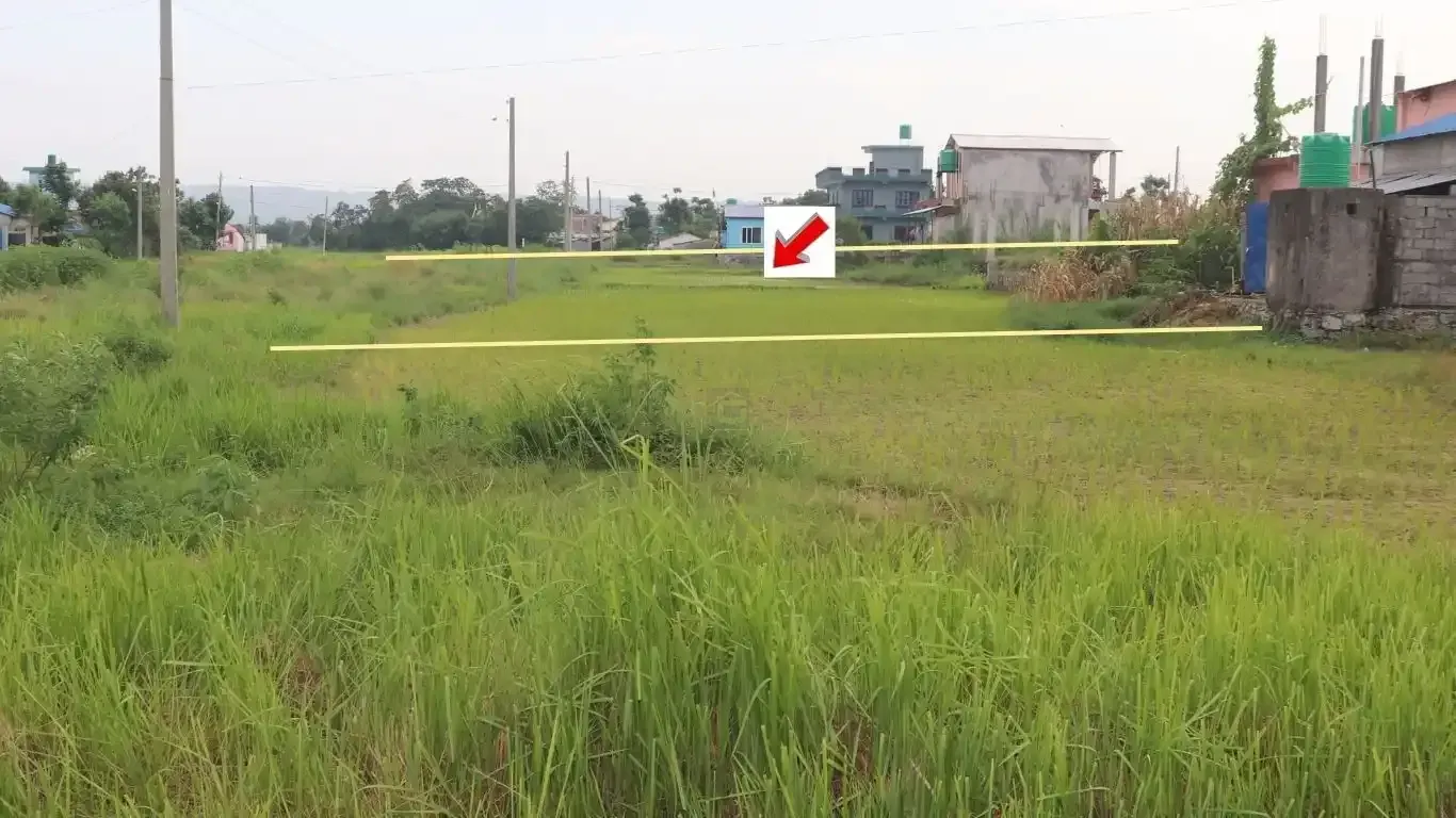 land for sale Bharatpur 22, Patihani Dhanauji plot, residential land Chitwan, 10.5 dhur land Bharatpur, ghar jagga Nepal listings, plots near Bal Bidhyashram