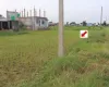 land for sale Bharatpur 22, Patihani Dhanauji plot, residential land Chitwan, 10.5 dhur land Bharatpur, ghar jagga Nepal listings, plots near Bal Bidhyashram