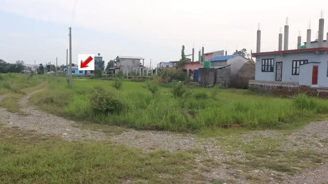 land for sale Bharatpur 22, Patihani Dhanauji plot, residential land Chitwan, 10.5 dhur land Bharatpur, ghar jagga Nepal listings, plots near Bal Bidhyashram