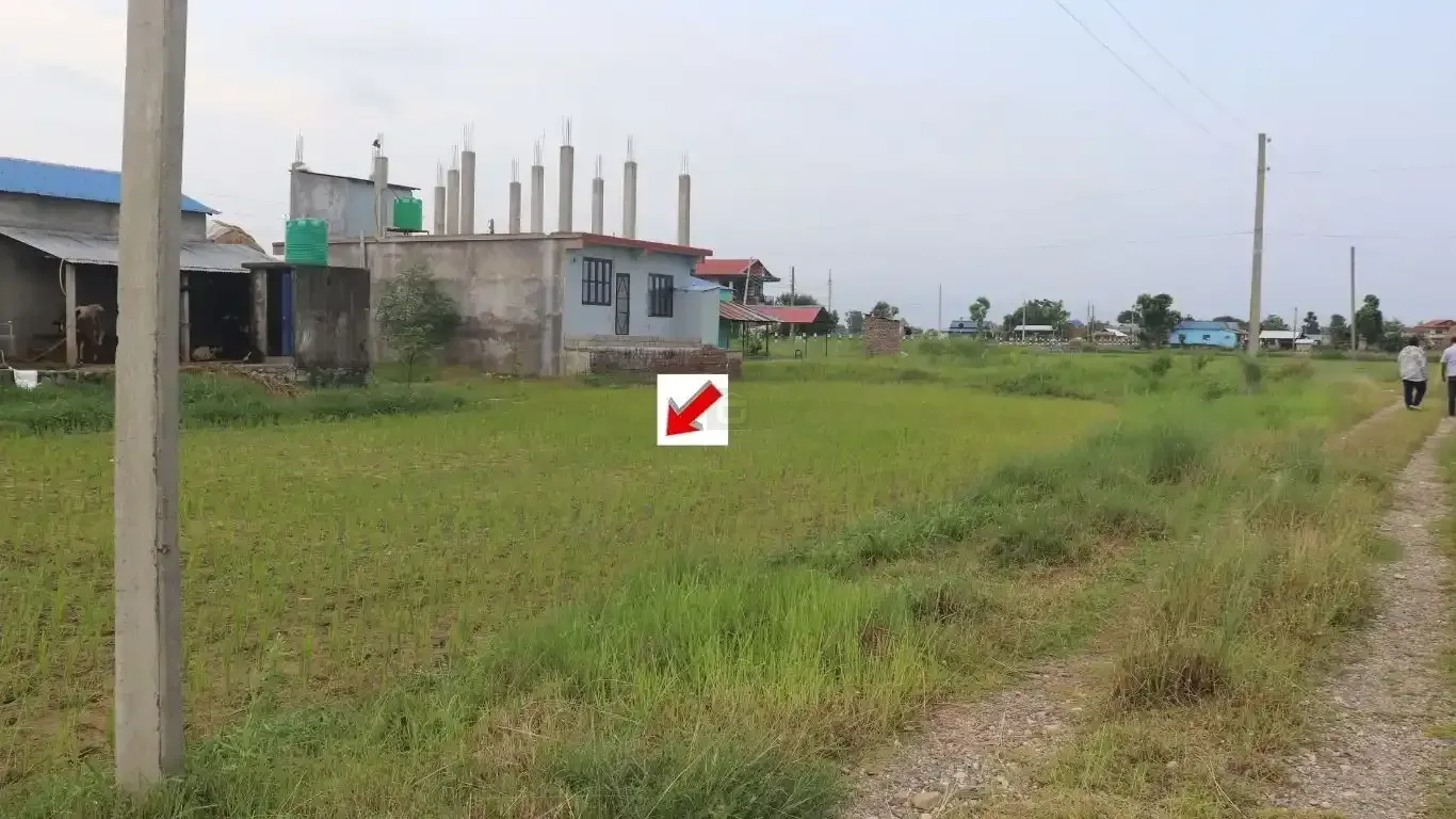 land for sale Bharatpur 22, Patihani Dhanauji plot, residential land Chitwan, 10.5 dhur land Bharatpur, ghar jagga Nepal listings, plots near Bal Bidhyashram
