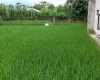 Bhaktapur main road land, Saraswotikhel commercial land, land for sale Changunarayan, 12 Aana mixed-use land, roadside land Bhaktapur, blacktop frontage plot Kathmandu Valley