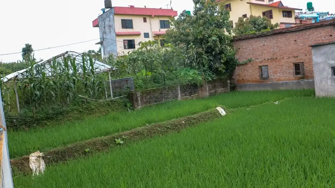 Bhaktapur main road land, Saraswotikhel commercial land, land for sale Changunarayan, 12 Aana mixed-use land, roadside land Bhaktapur, blacktop frontage plot Kathmandu Valley