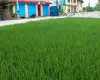 Bhaktapur main road land, Saraswotikhel commercial land, land for sale Changunarayan, 12 Aana mixed-use land, roadside land Bhaktapur, blacktop frontage plot Kathmandu Valley