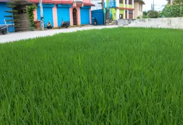 Bhaktapur main road land, Saraswotikhel commercial land, land for sale Changunarayan, 12 Aana mixed-use land, roadside land Bhaktapur, blacktop frontage plot Kathmandu Valley