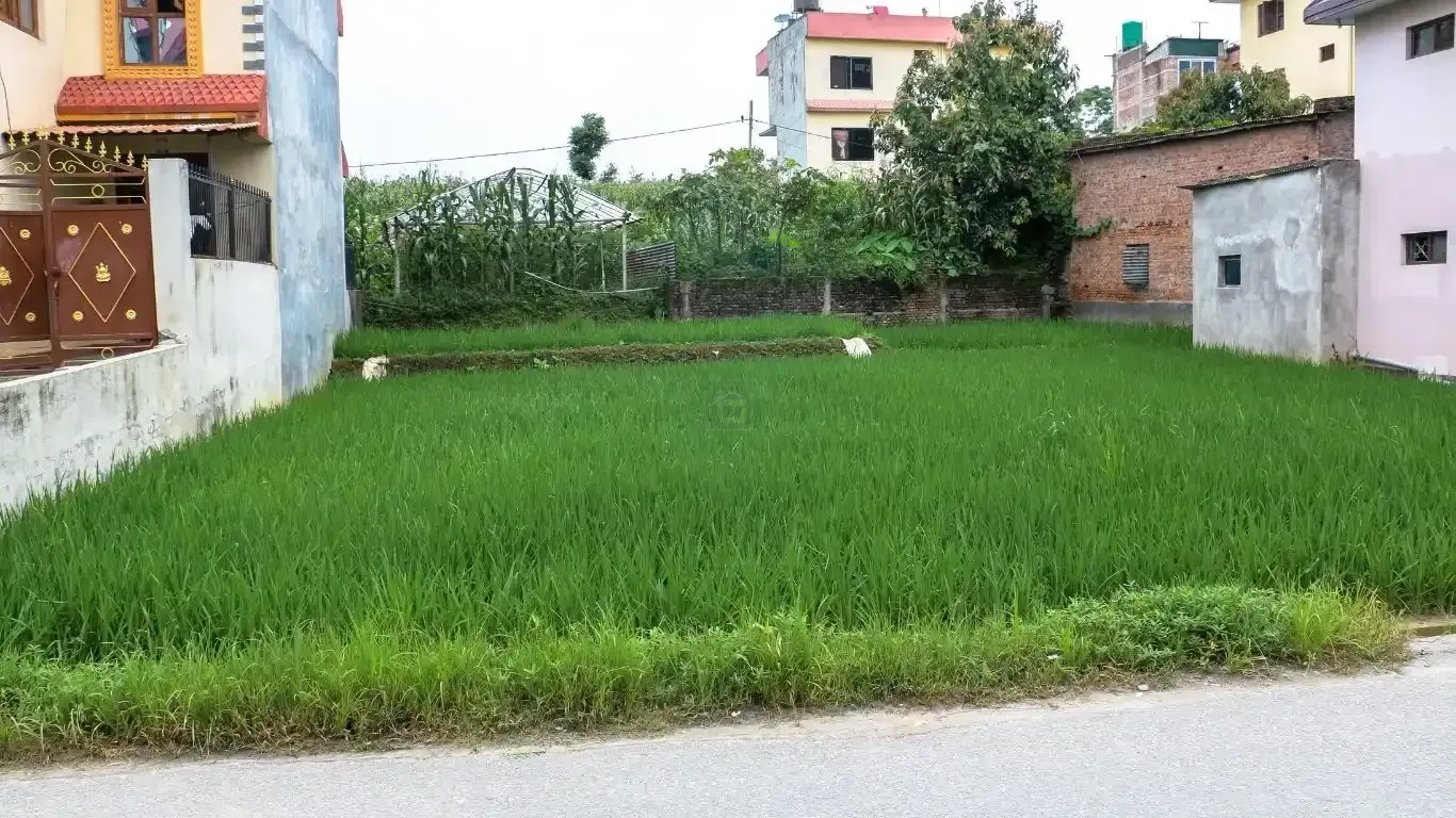 Bhaktapur main road land, Saraswotikhel commercial land, land for sale Changunarayan, 12 Aana mixed-use land, roadside land Bhaktapur, blacktop frontage plot Kathmandu Valley