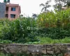 land for sale Gokarneshwor, 6 aana plot Kathmandu, Gokarna land, land near Sagarmatha gate, Kathmandu real estate, Basnet Tole land