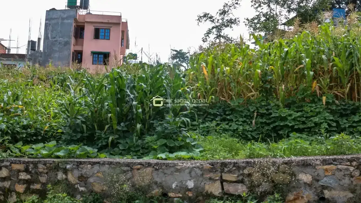 land for sale Gokarneshwor, 6 aana plot Kathmandu, Gokarna land, land near Sagarmatha gate, Kathmandu real estate, Basnet Tole land